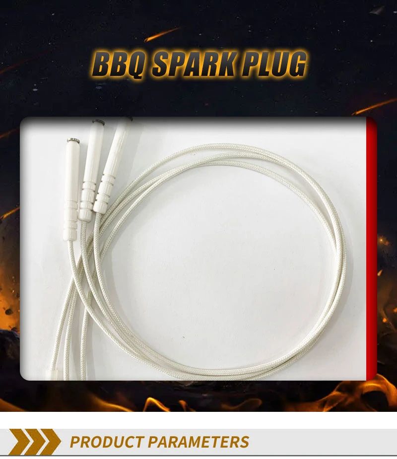 Alumina Ceramic Burning Ignition Flame Sensor Electrode Spark Igniter Plug