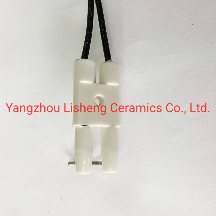 Ceramic Ignition Electrode for Gas