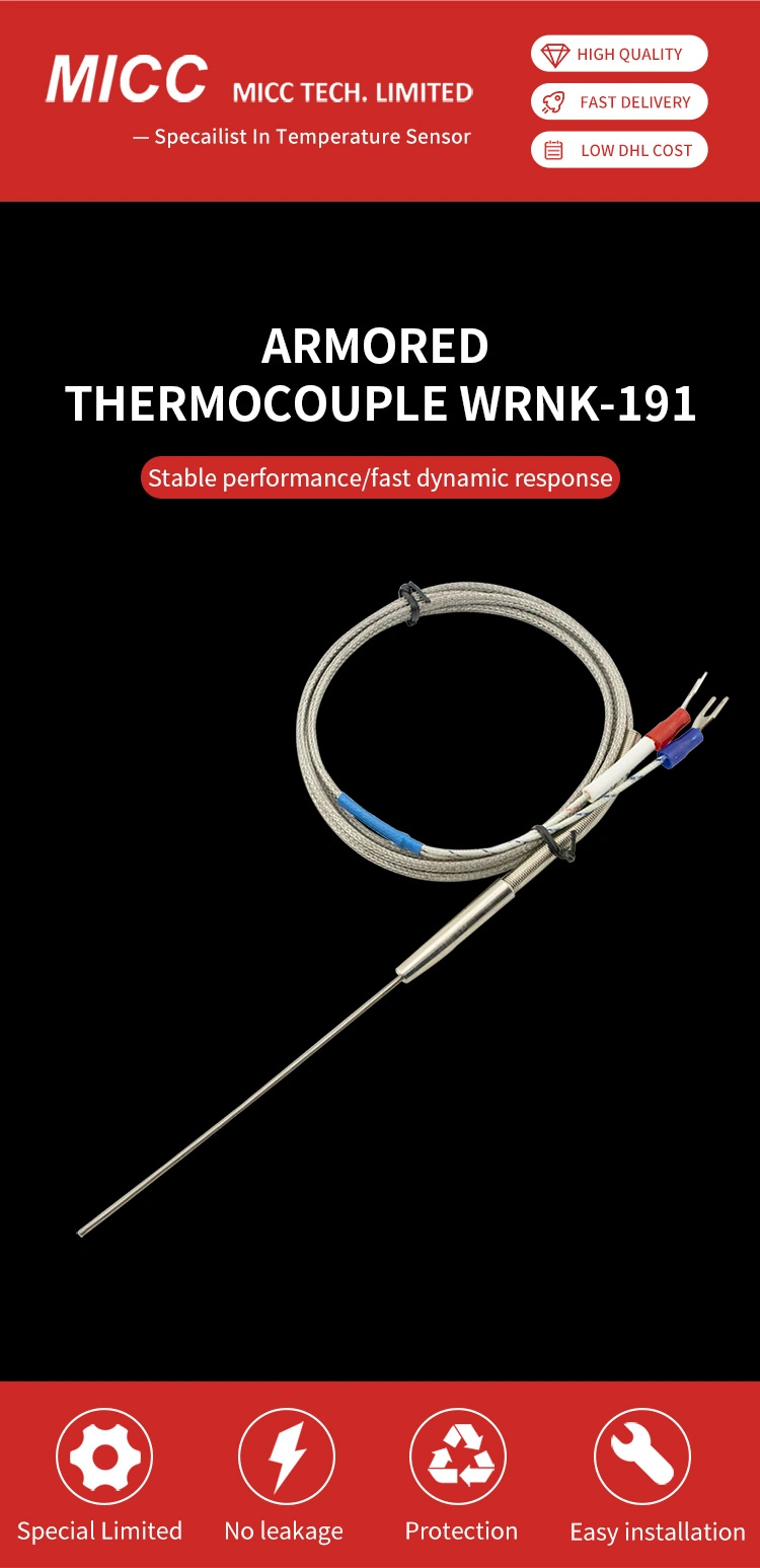 Flexibility High Pressure Resistance K-Type Screw Thermocouple Mi Cable Armored Thermocouple Wrnk-191 PT100/J/T/E/N Temperature Sensor Probe