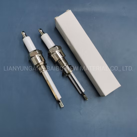 Customized 95% Alumina Ceramic Ignition System Spark Electrode Igniter