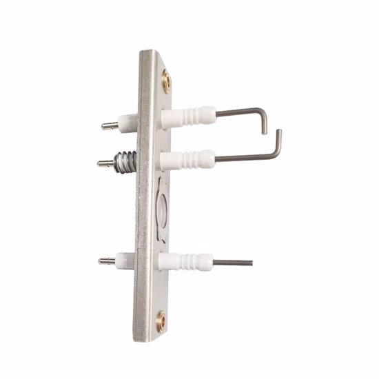 Ceramic Ignition Electrode for Gas